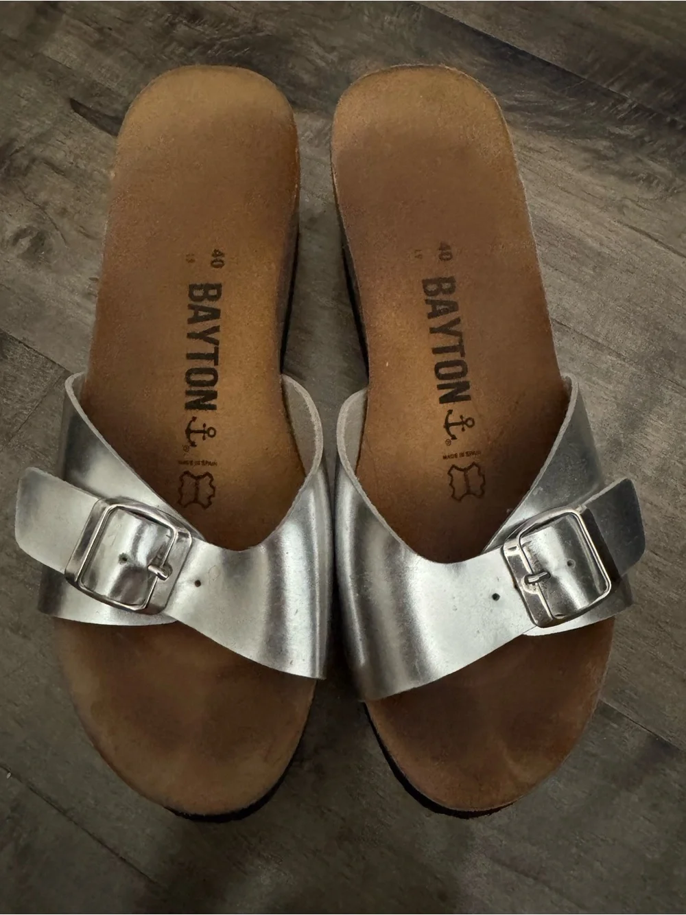 Bayton silver slide