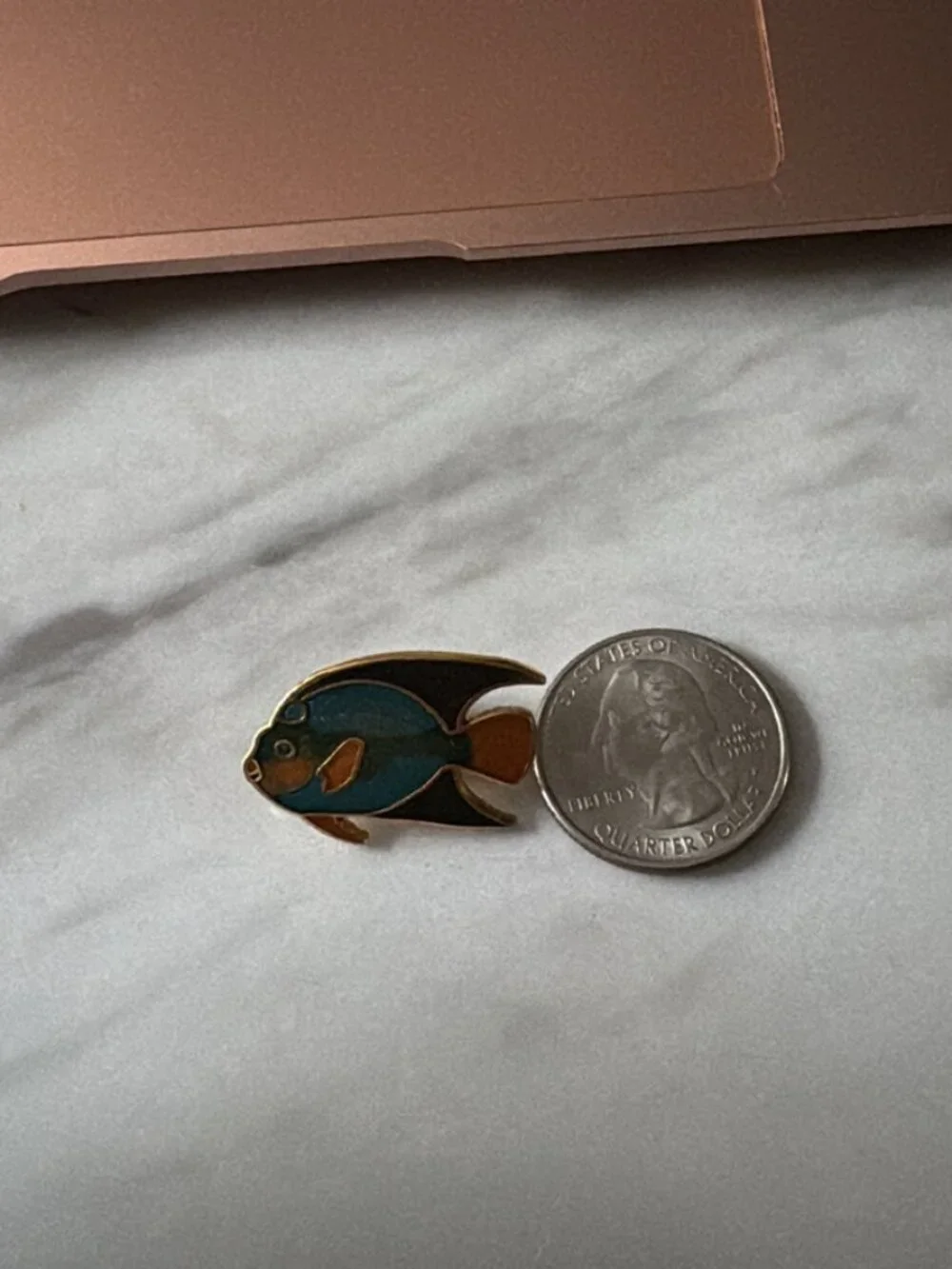 N/A tropical fish