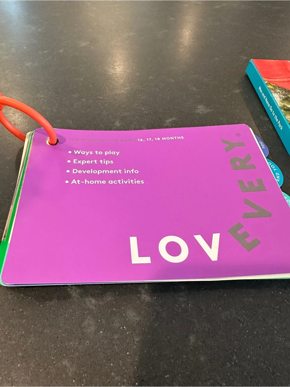 Lovevery Pioneer Play Guide (16-18 months), fuzzy bug shrub & book