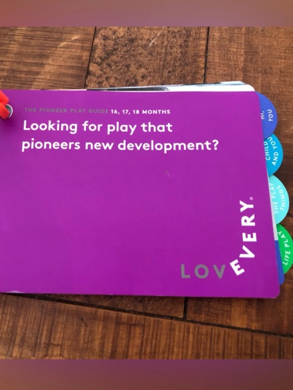 Lovevery Pioneer Play Guide (16-18 months), fuzzy bug shrub & book