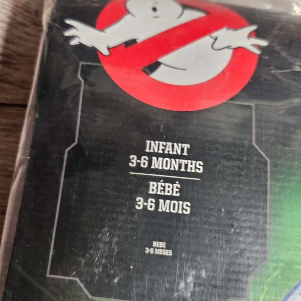 Spirit ghostbusters stay