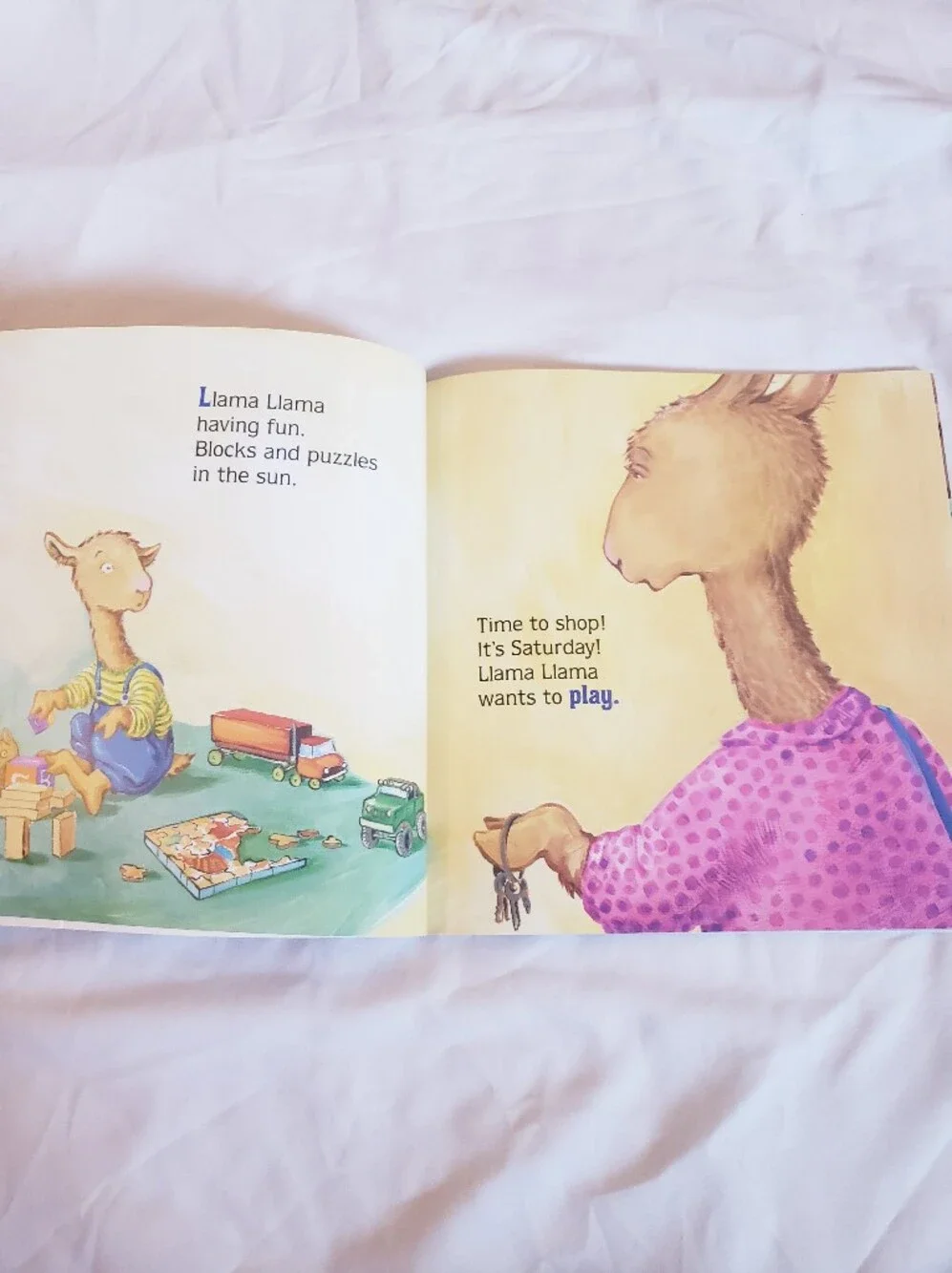 Scholastic something include closet