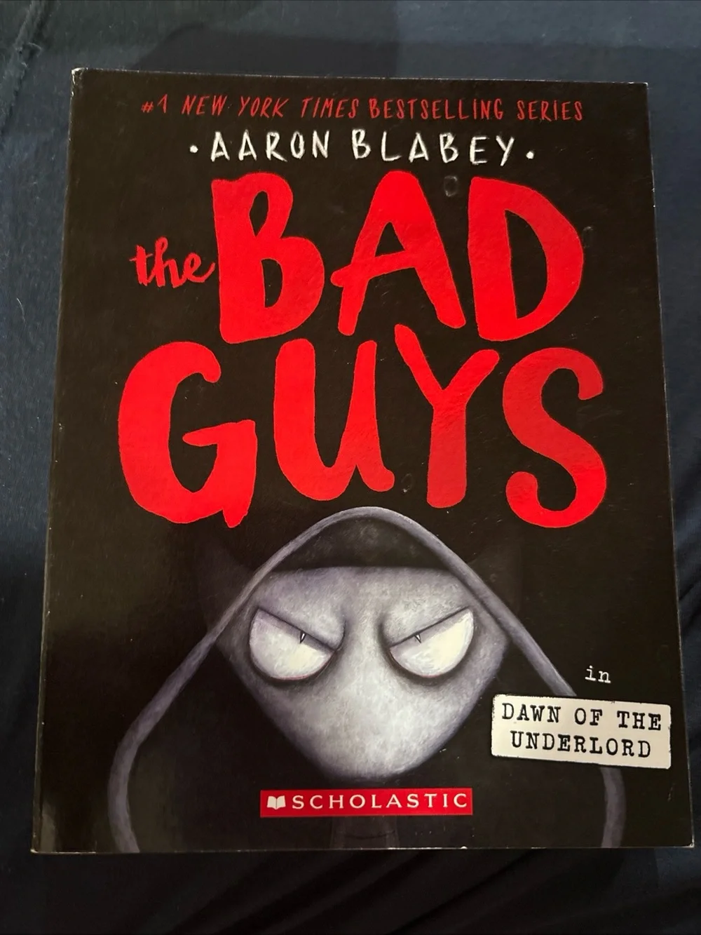 Scholastic chapter book