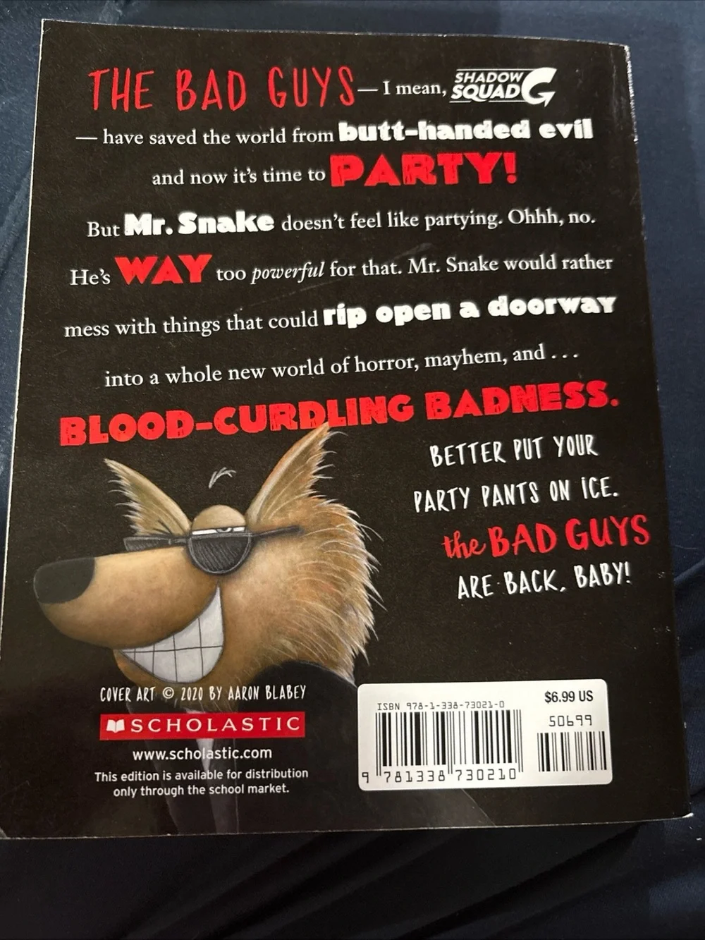 Scholastic chapter book