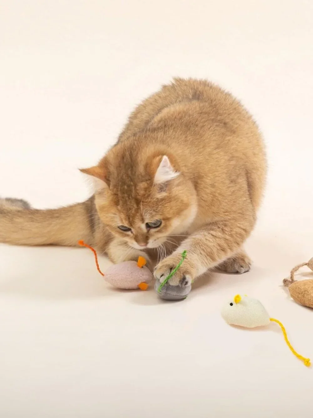 N/A catnip toys