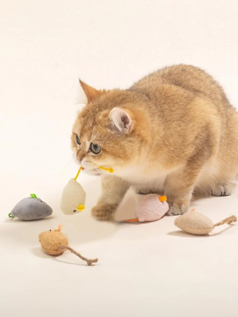 N/A catnip toys