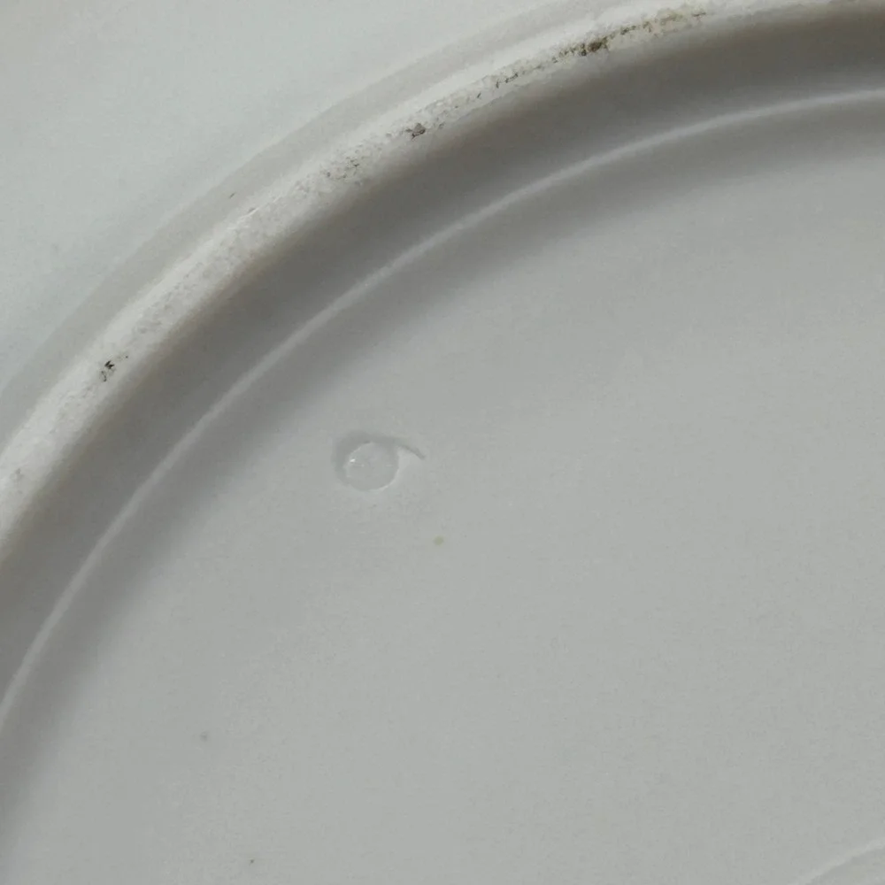 Favolina Karolina Jarolina Poland 3879‎ Soup Bowl Silver Scalloped Floral 1