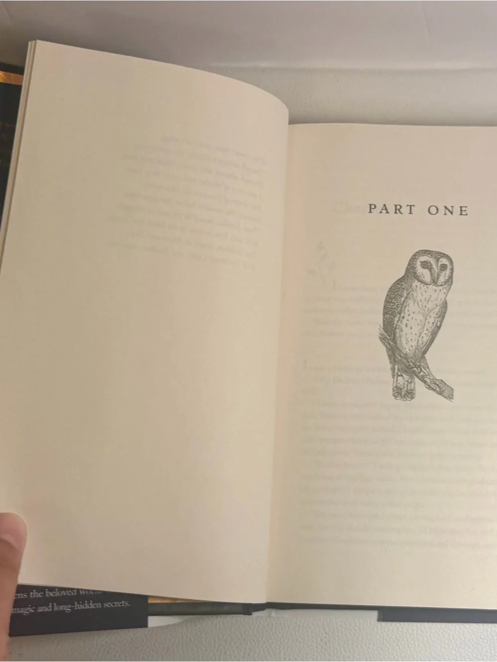 Ballantine Books black bird