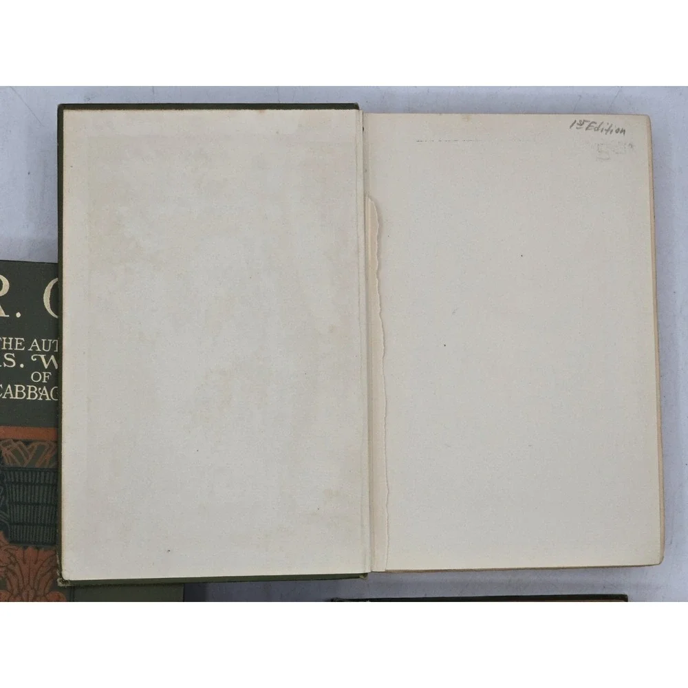 3 Lot‎ Vtg Alice Hegan Rice Books - Lovey Mary, Sandy, Mr. Opp