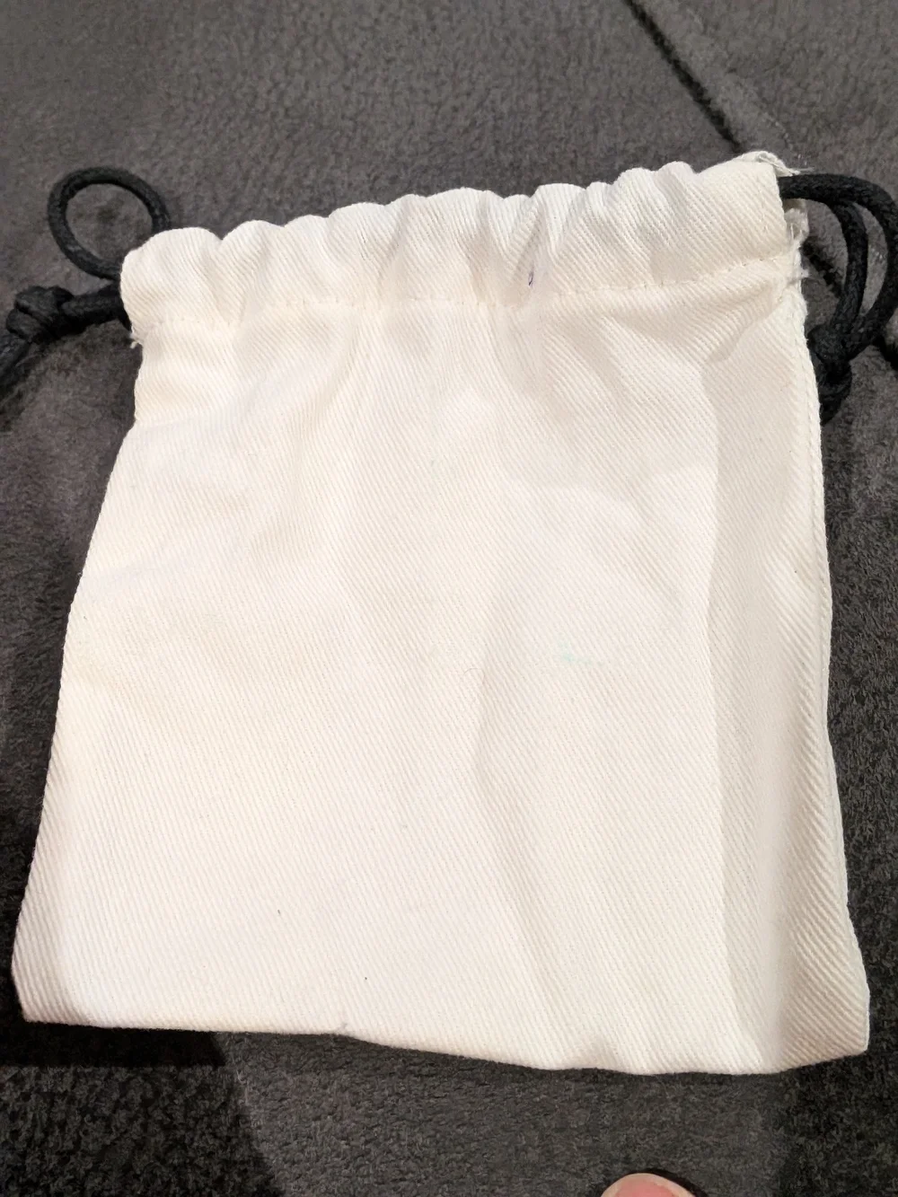 Coach dust bag