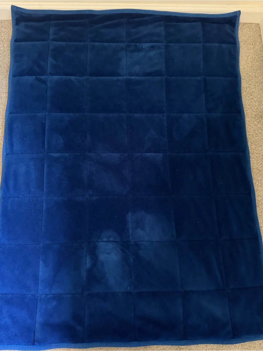 Paw Patrol Weighted Blanket 35x27 Blue Kids Super Soft Plush VGUC