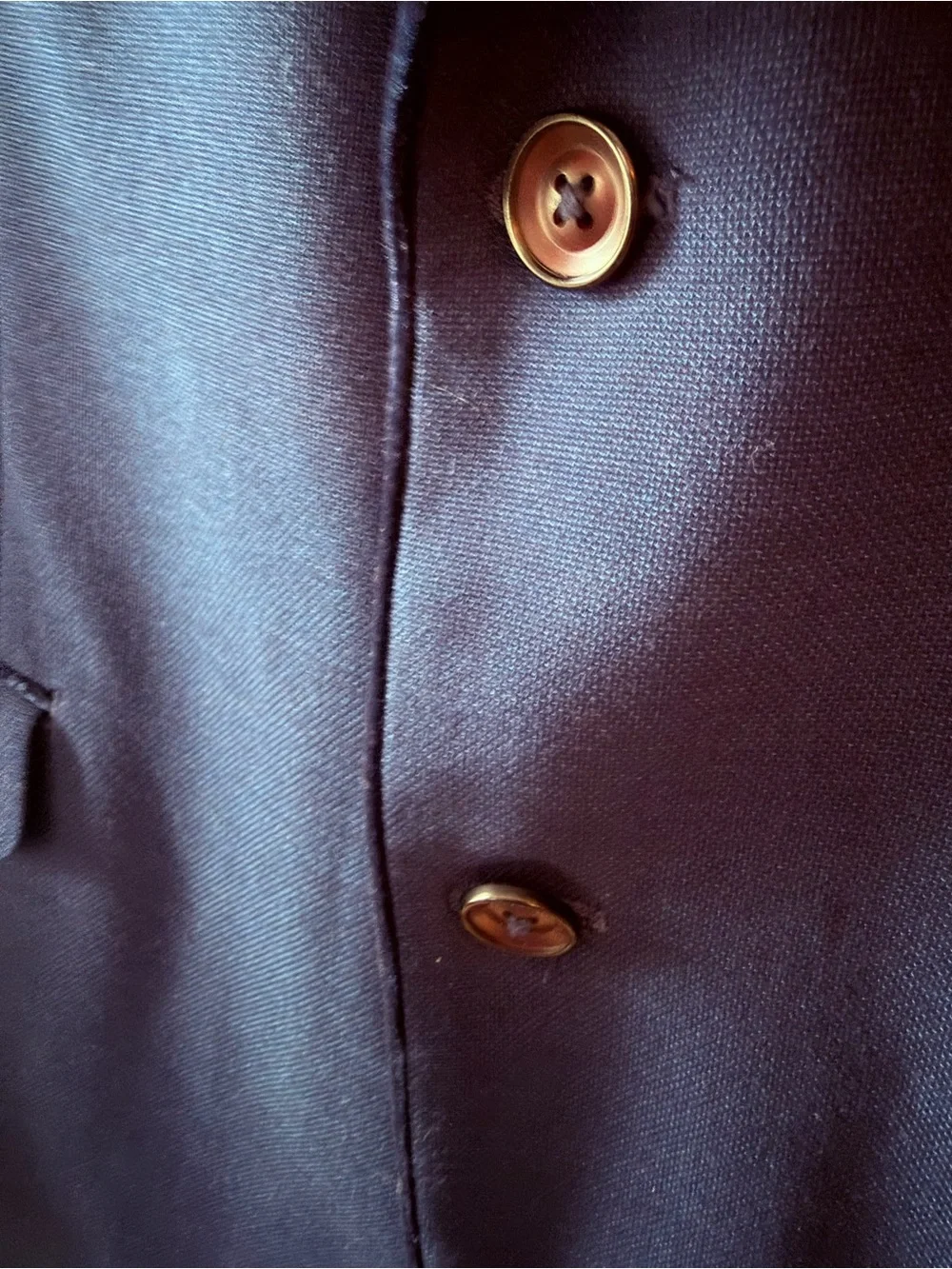 Lord & Taylor tailored two