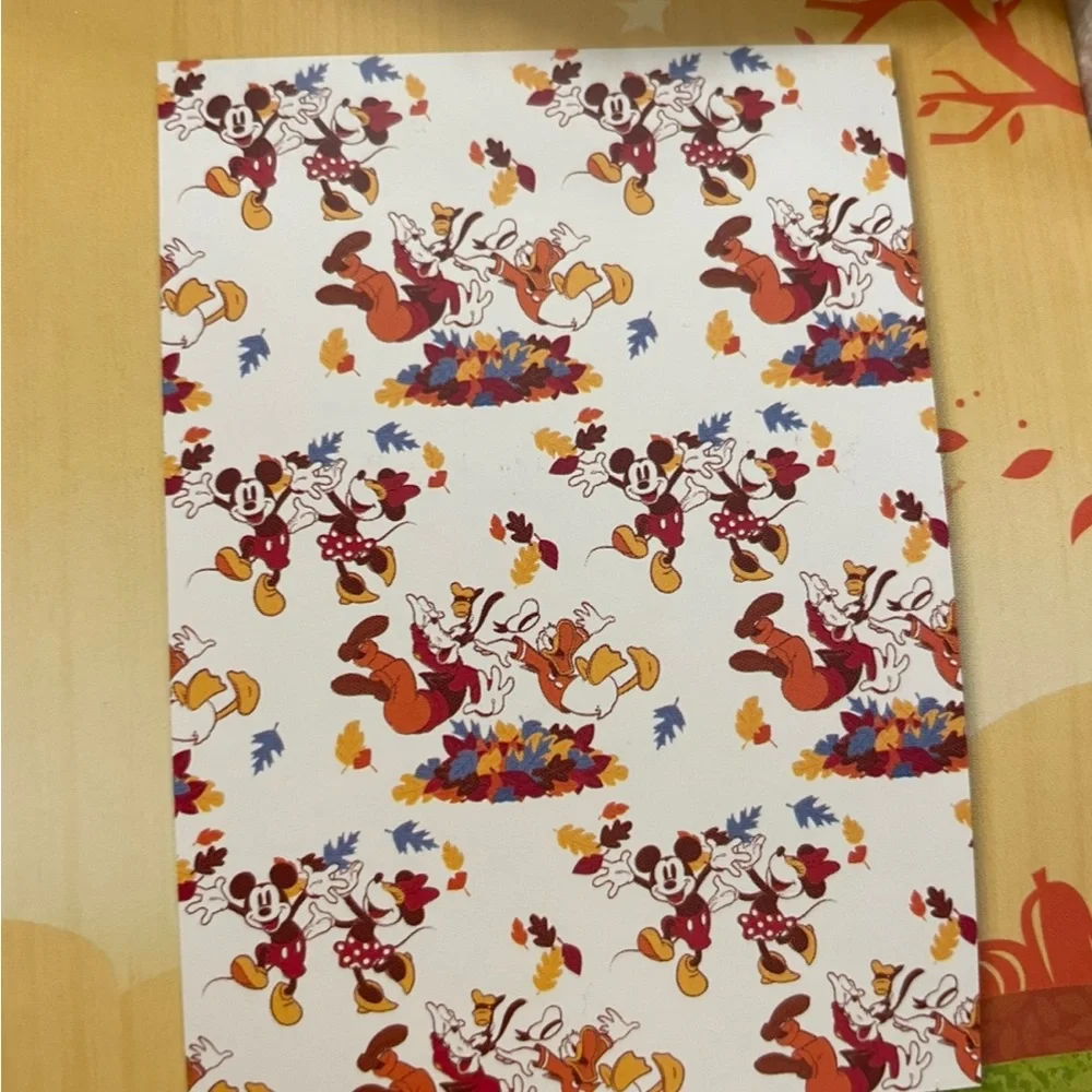 Disney nwt oversized