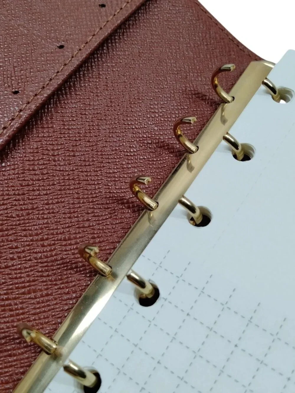 Louis Vuitton authentic louis