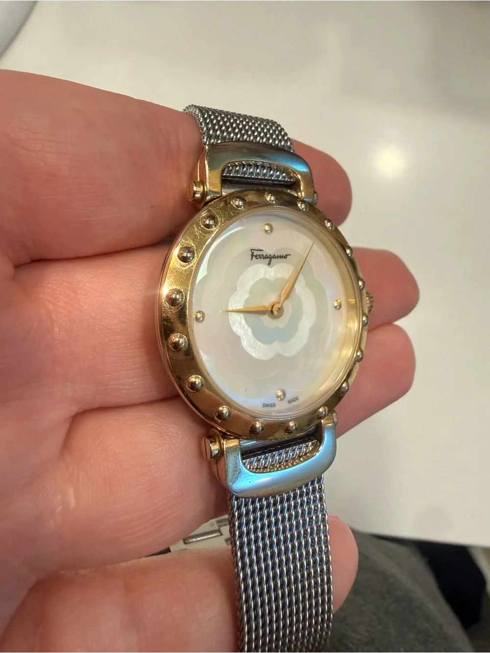 Salvatore Ferragamo case pays