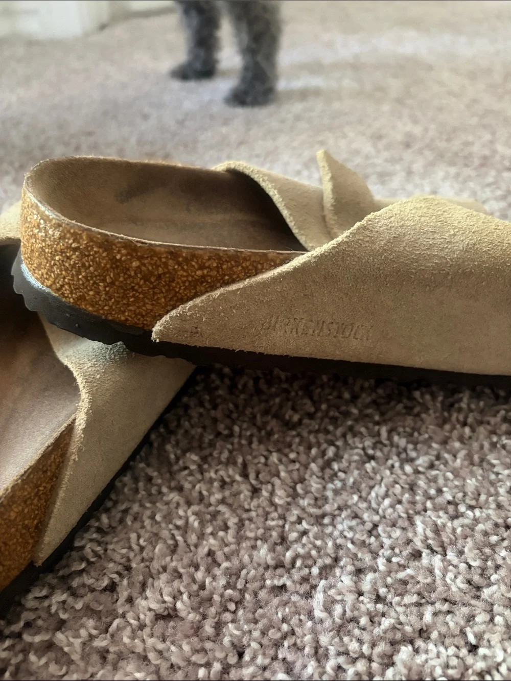 Birkenstock classic sandals