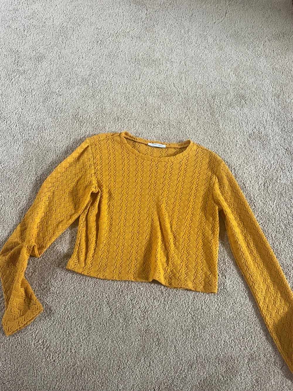 Zara Mustard Textured Long-Sleeve Crop Top