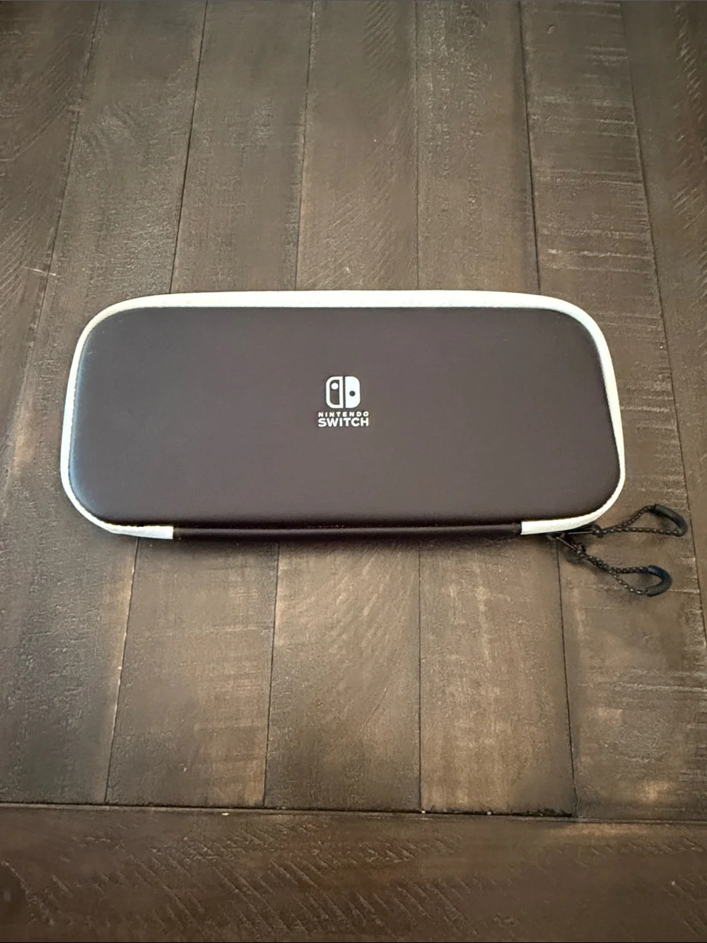 Nintendo durable carrying