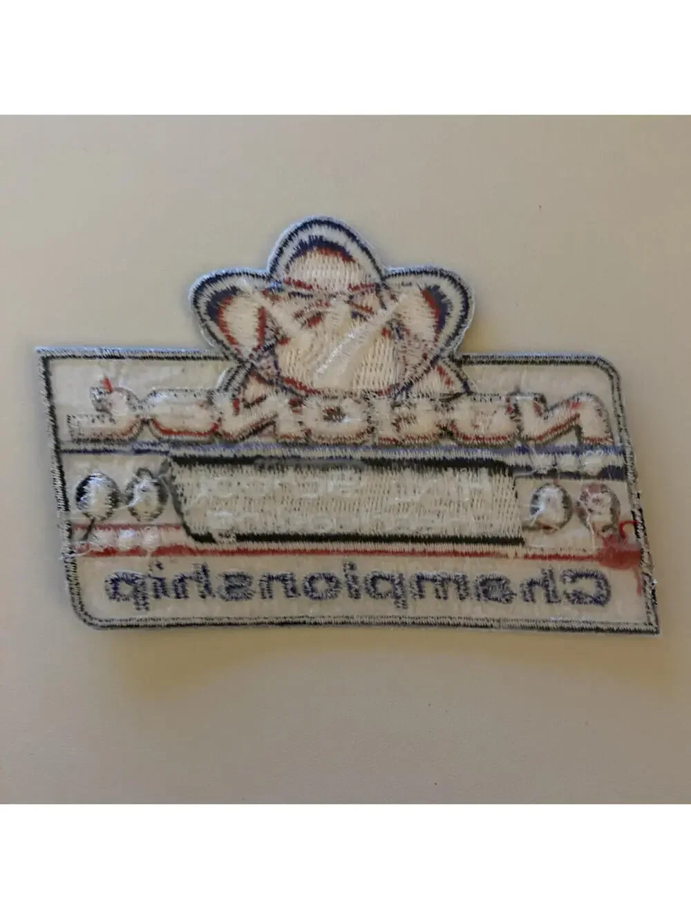 2001 National High School Cheerleading Championship Patch