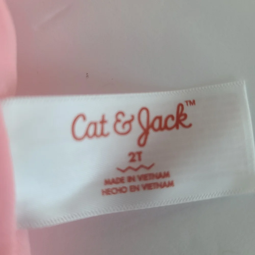 Cat & Jack owned one cat