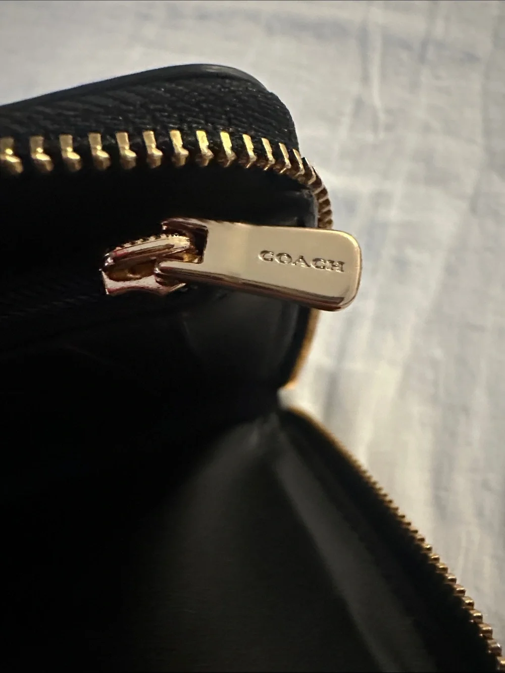 Coach strap pebbled