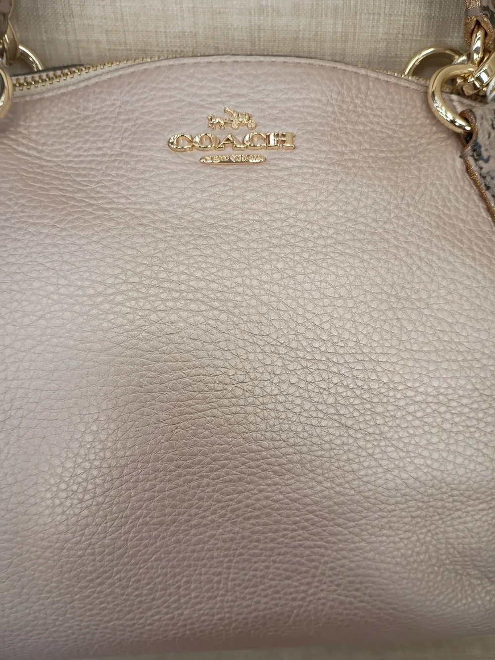 Coach metallic pale
