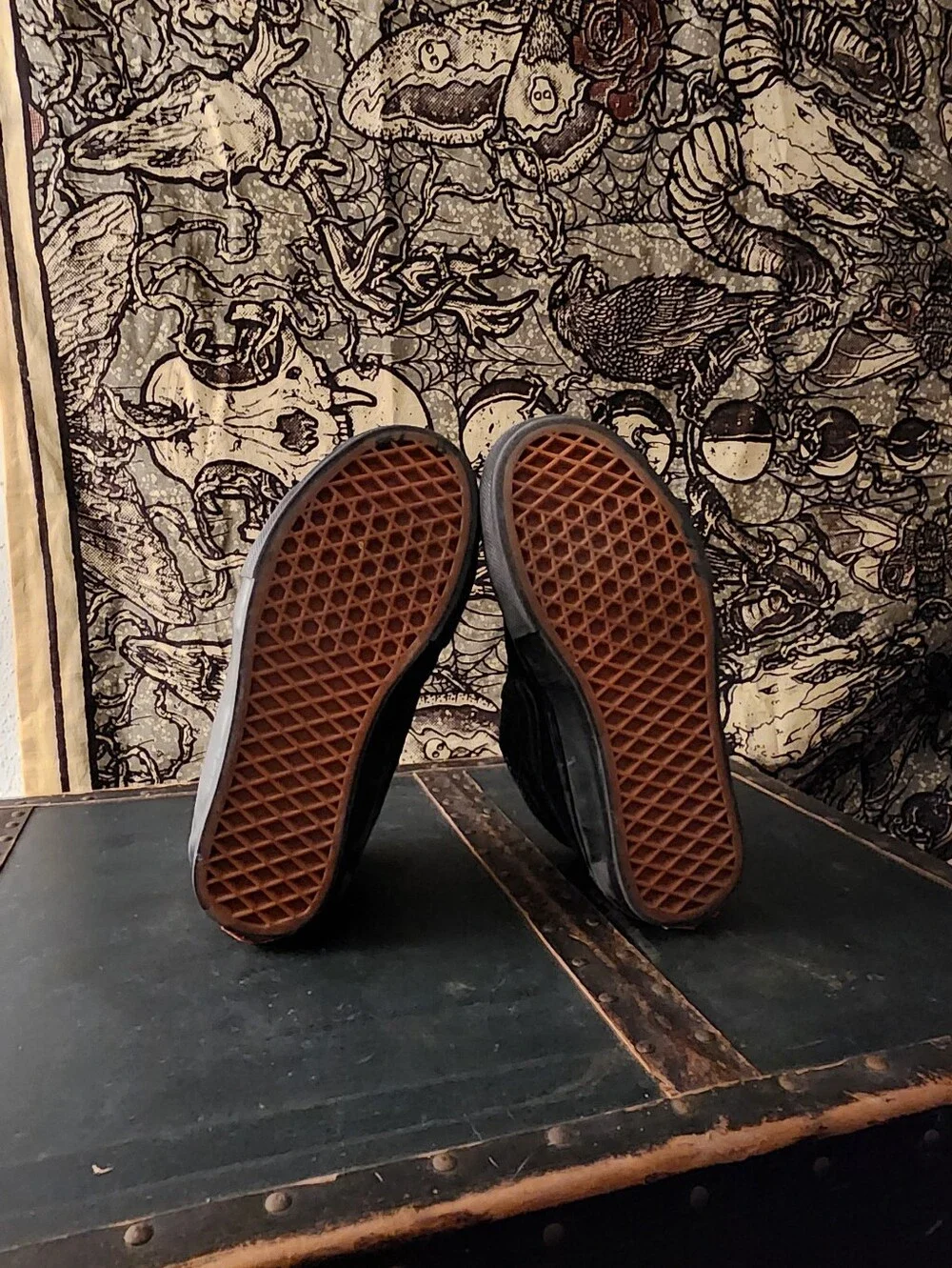 Vans classic high