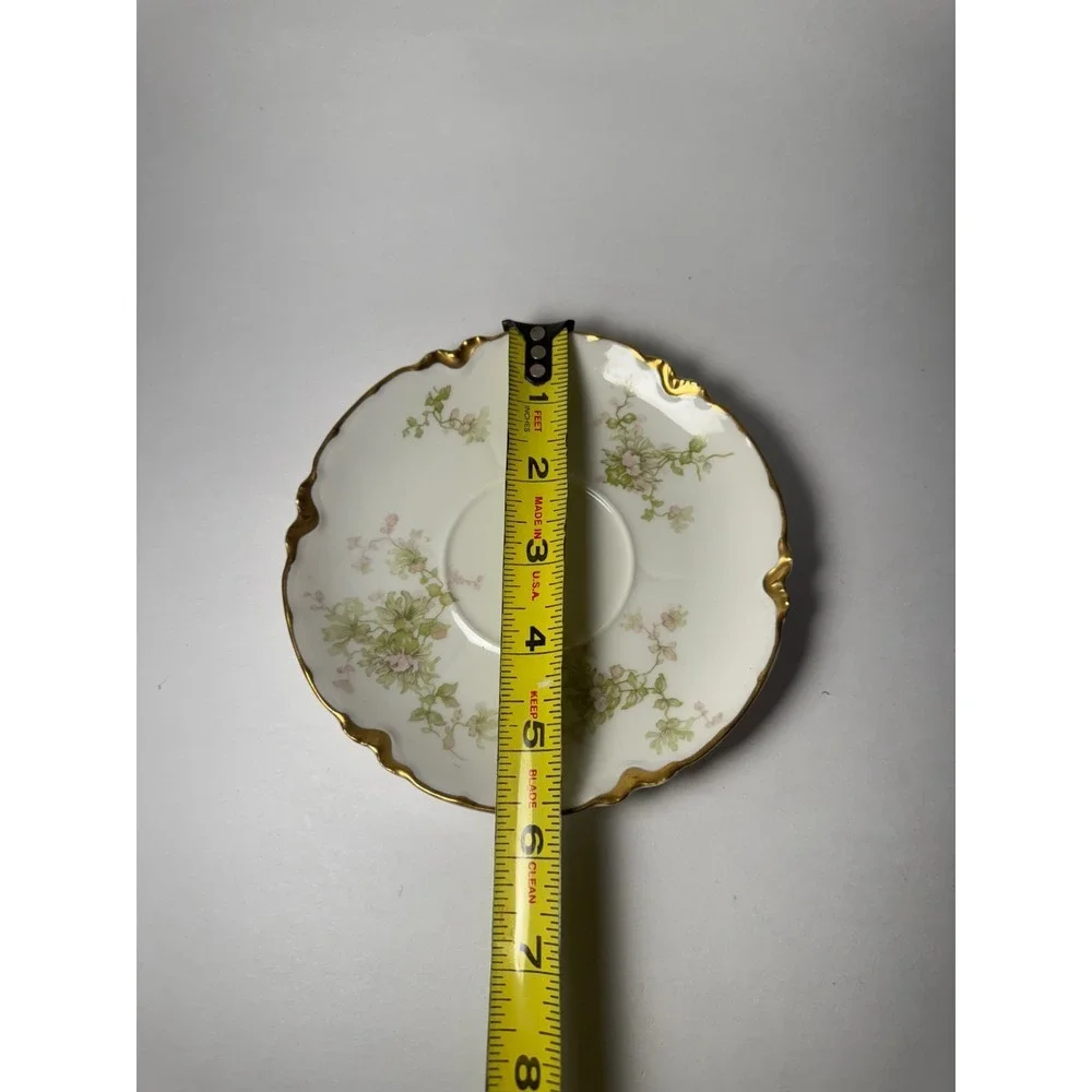 Haviland this set