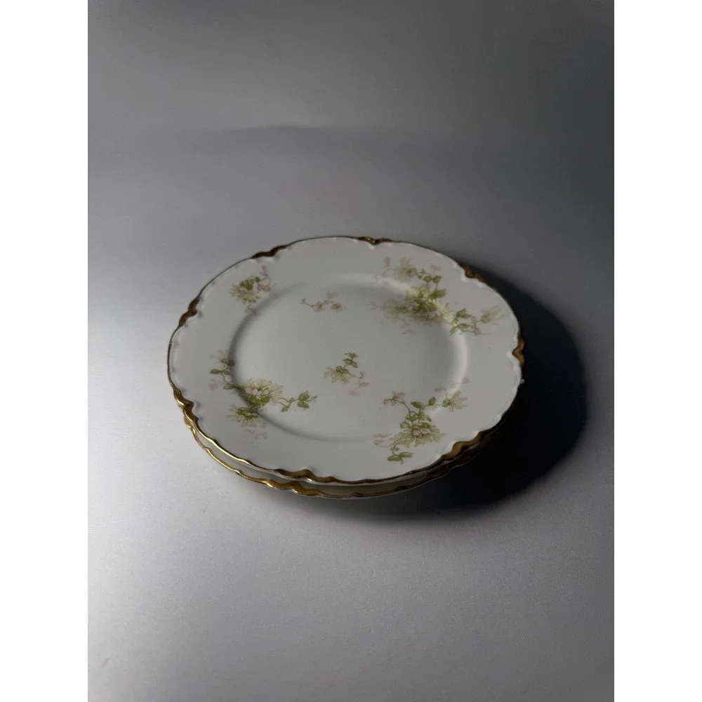 Haviland this set