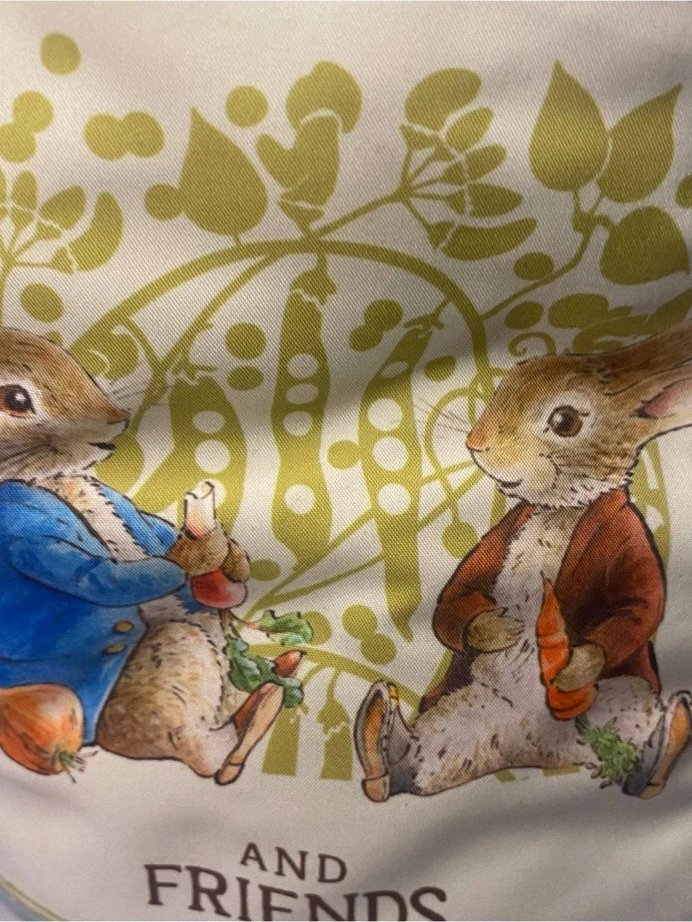 Peter Rabbit peter rabbit