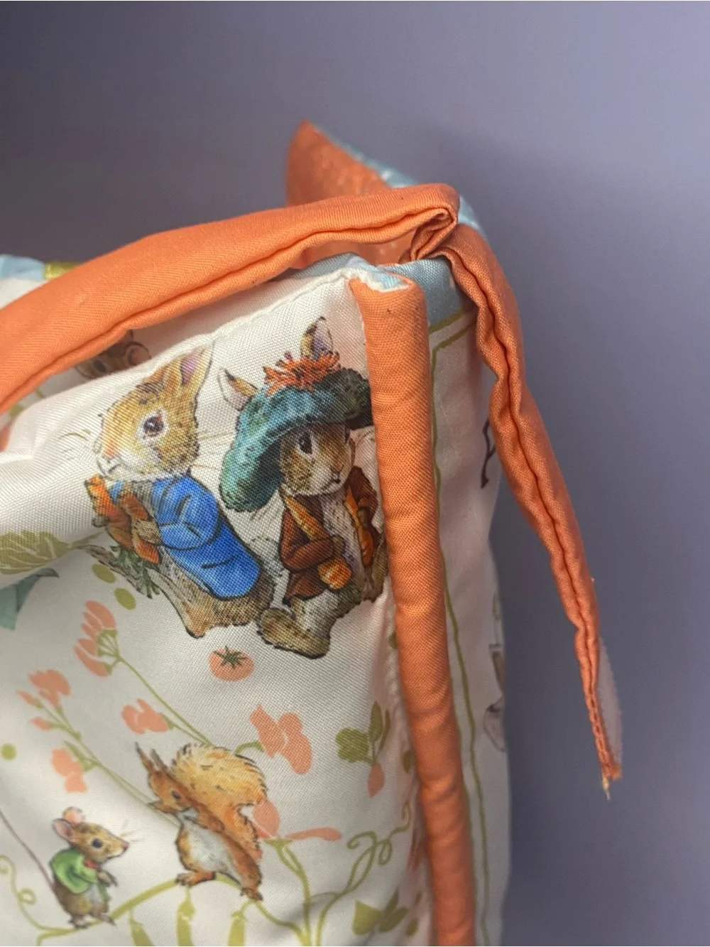 Peter Rabbit peter rabbit