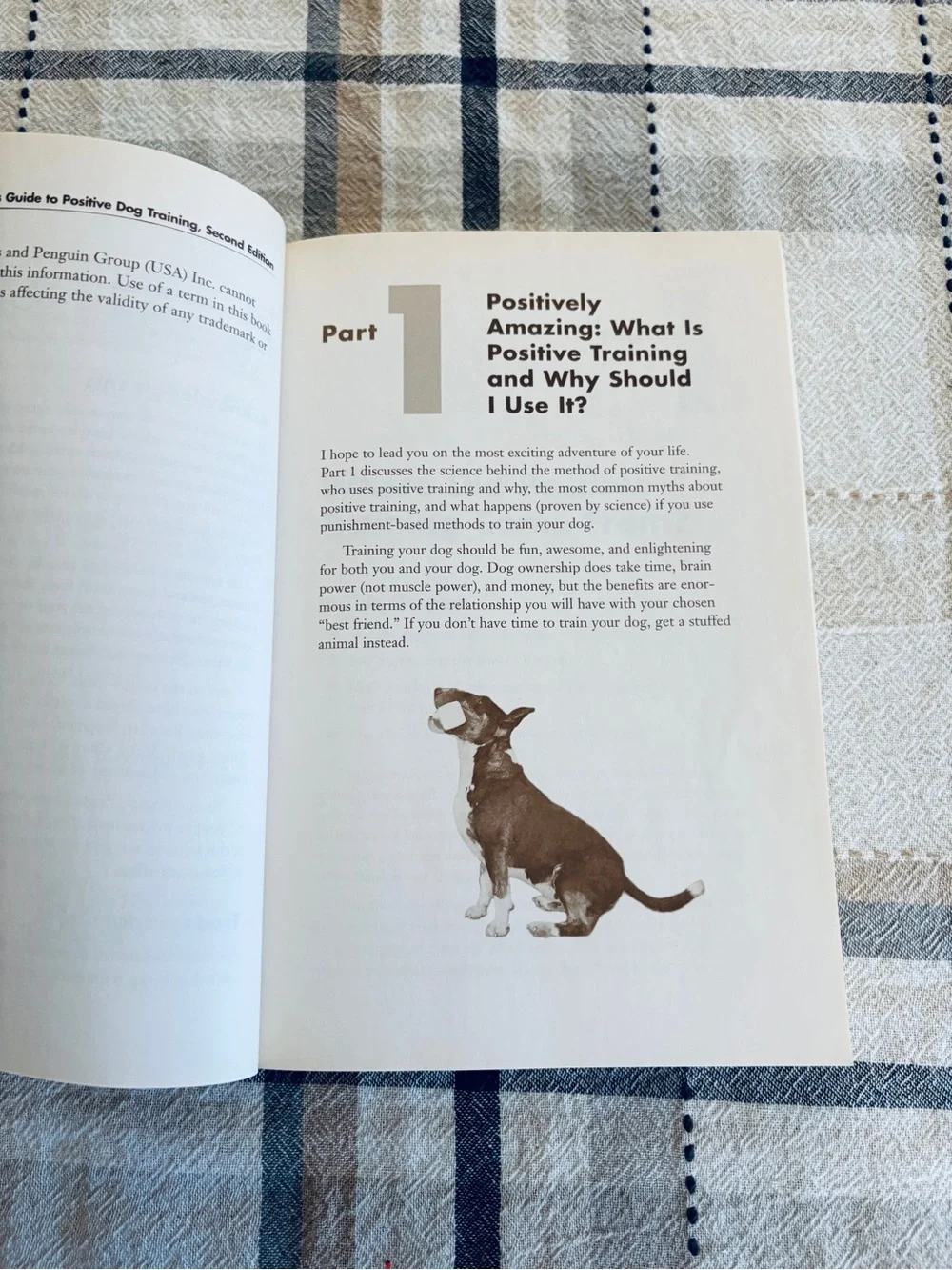 The Complete Idiots Guide to Positive Dog Training 2nd Edition 2005 Softcover