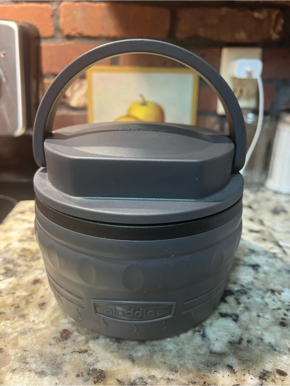 Aladdin Micro Magic Handled Food Thermos Gray Insulated Food Container Screw Lid