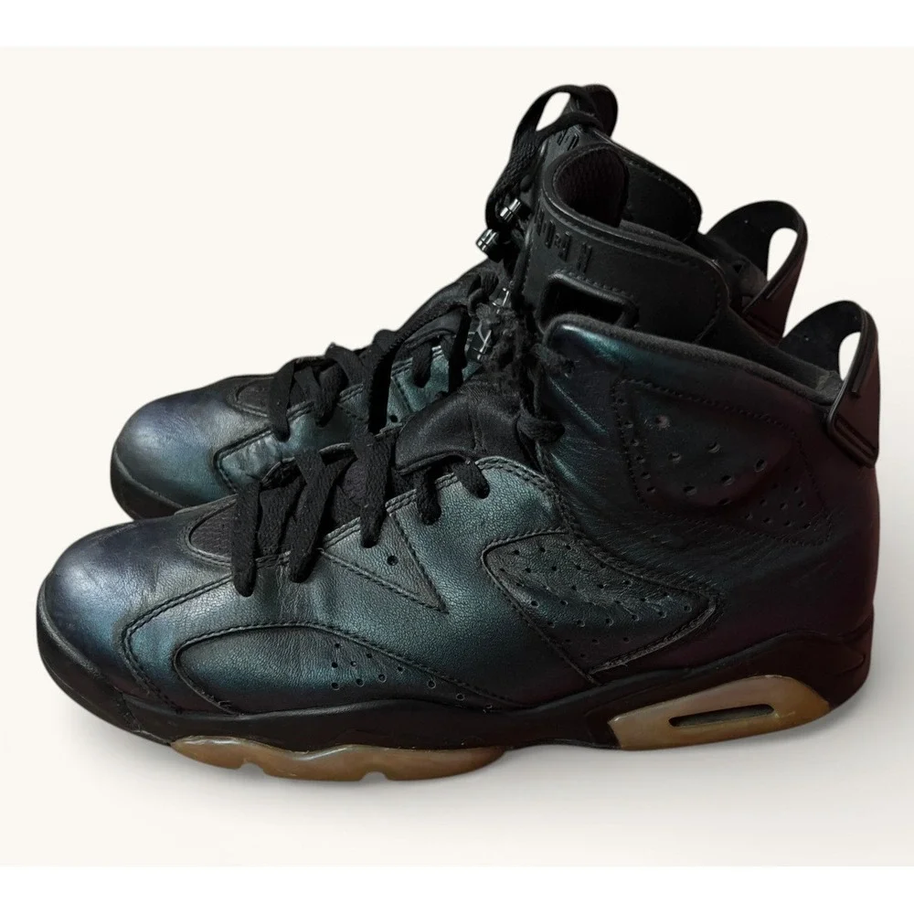 Air Jordan 6 Retro All Star Chameleon Men's 10.5 Black 907961-015 2017