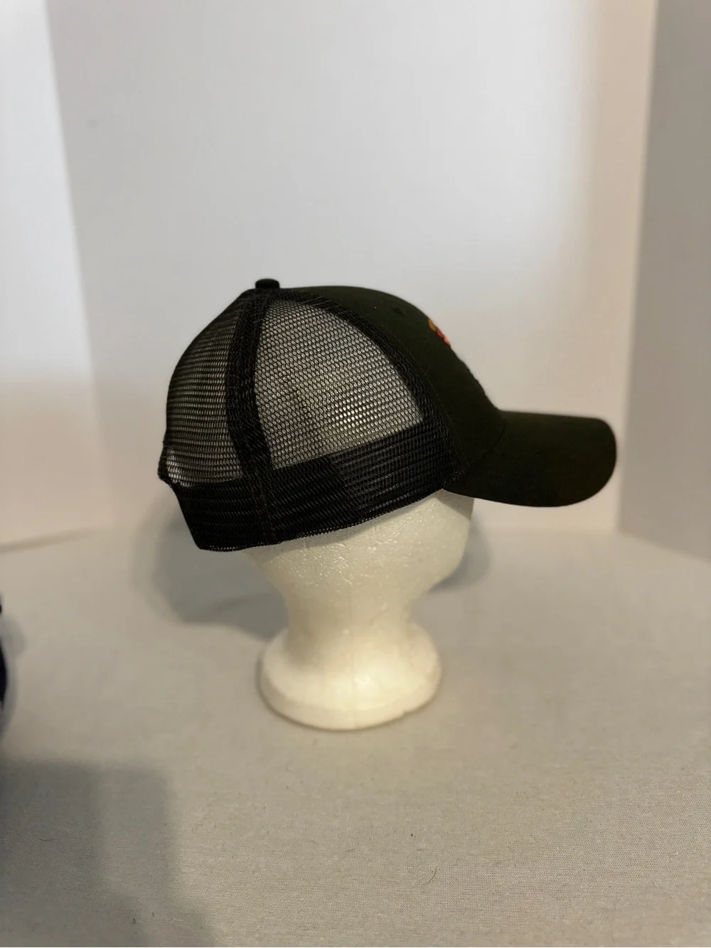 Patagonia baseball cap