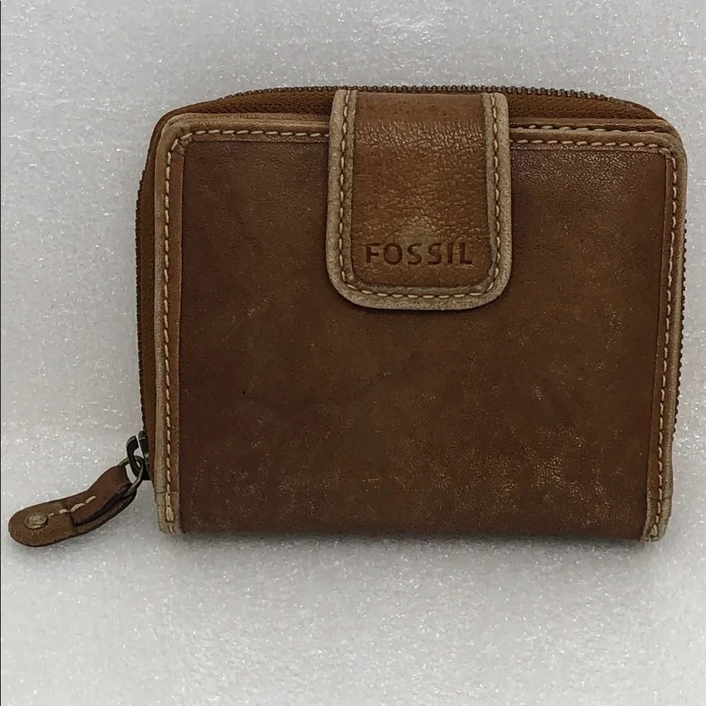 Fossil brown animal