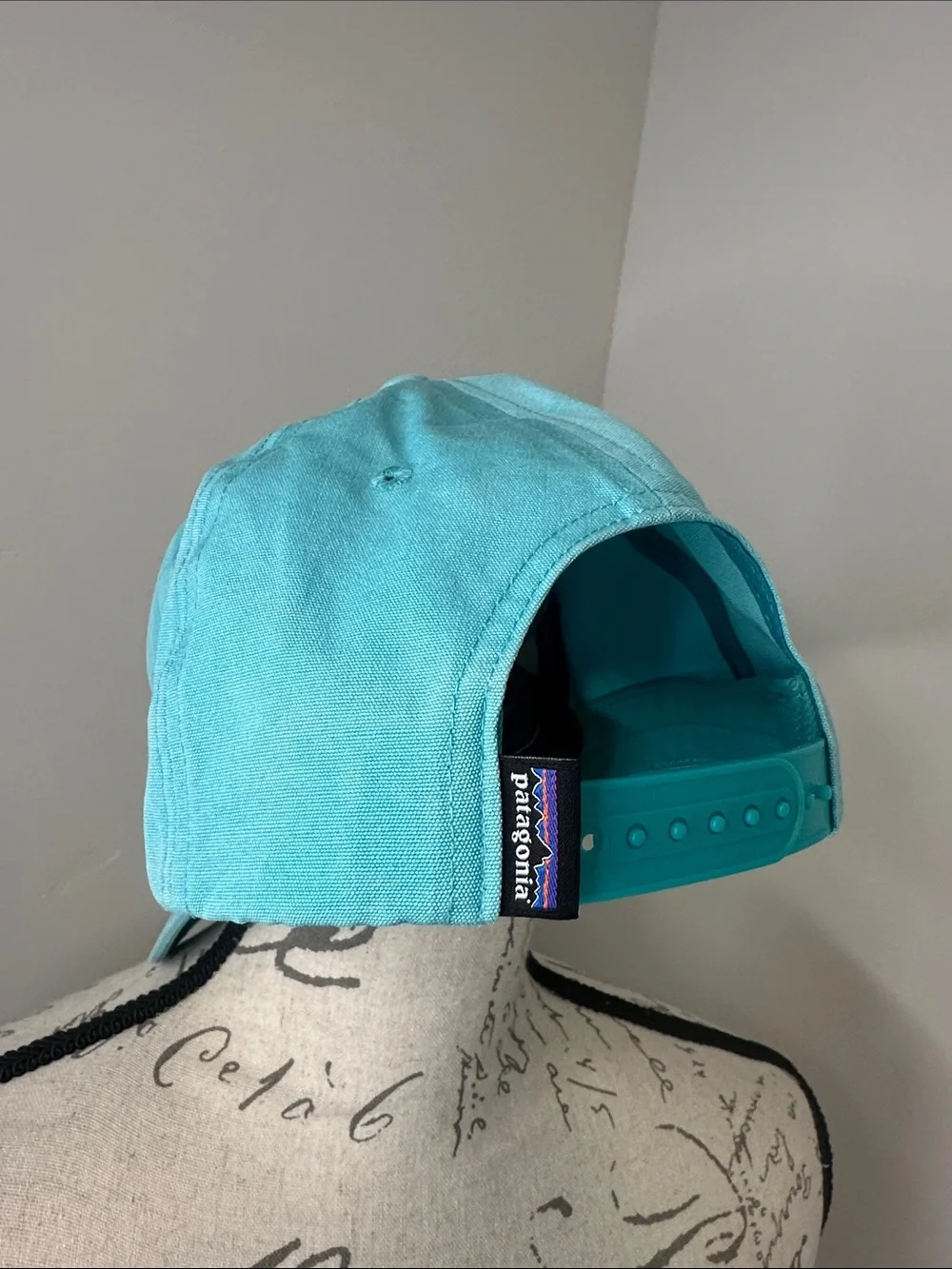 Patagonia trucker cap
