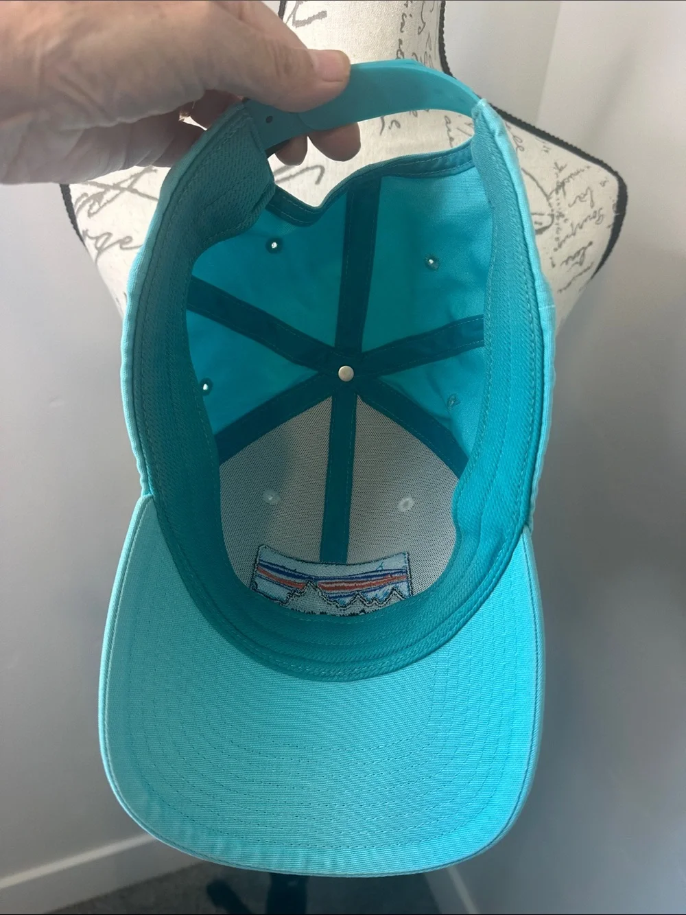 Patagonia trucker cap