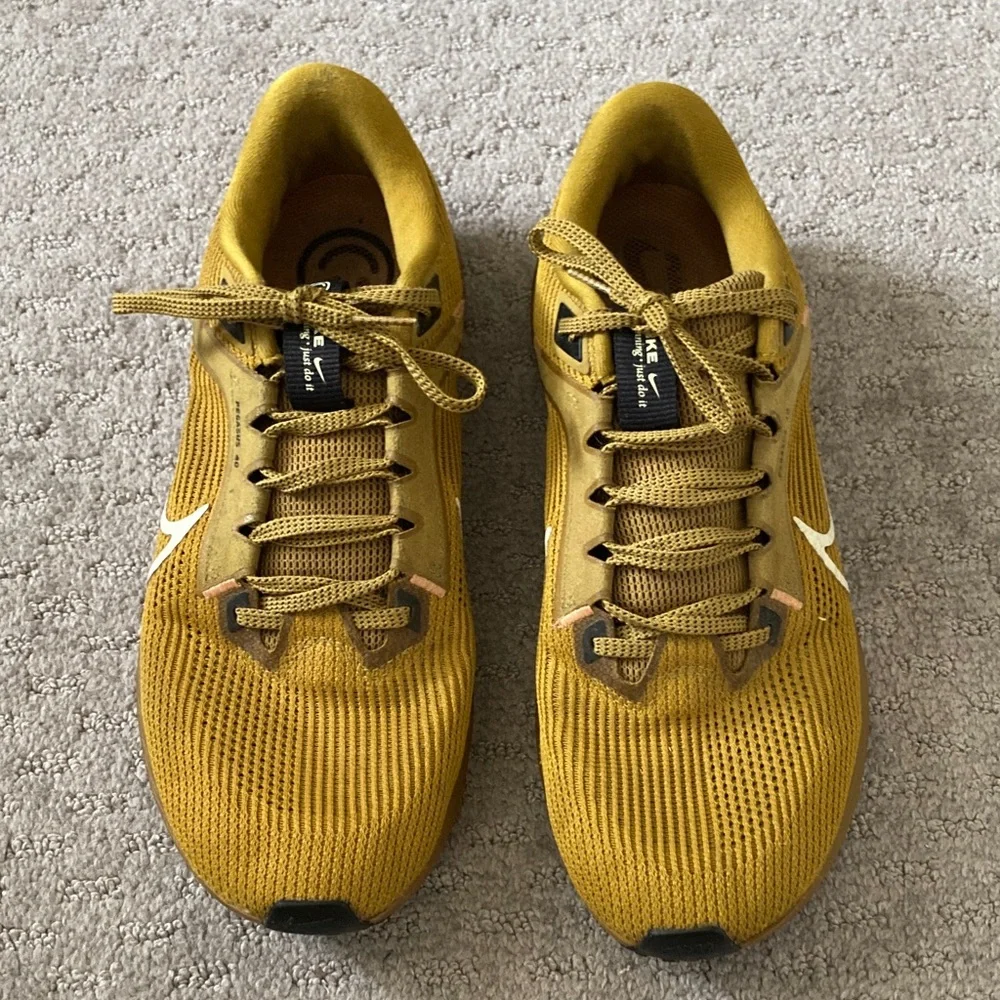 Nike Pegasus 40 Bronzine running sneakers, Sz 10.