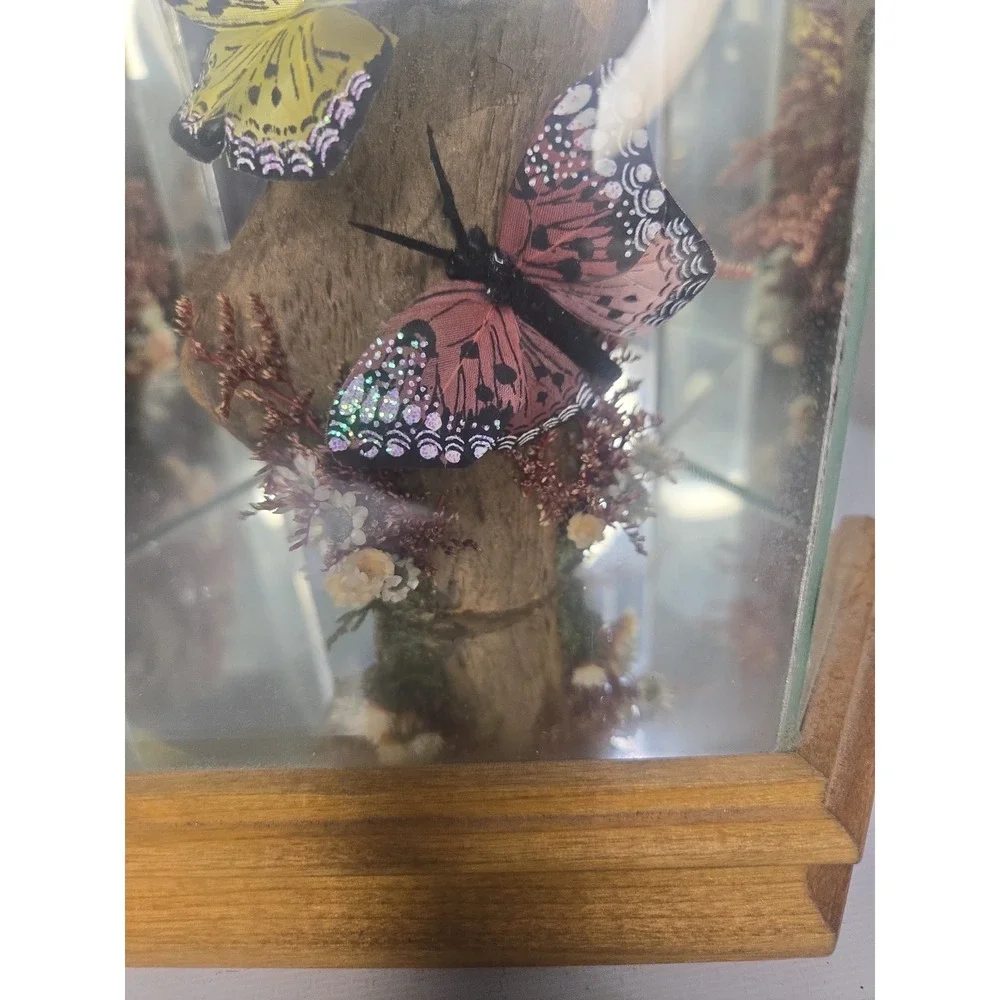 Vintage Glass & Wood Hexagonal Butterfly Taxidermy Diorama Display Yellow Pink