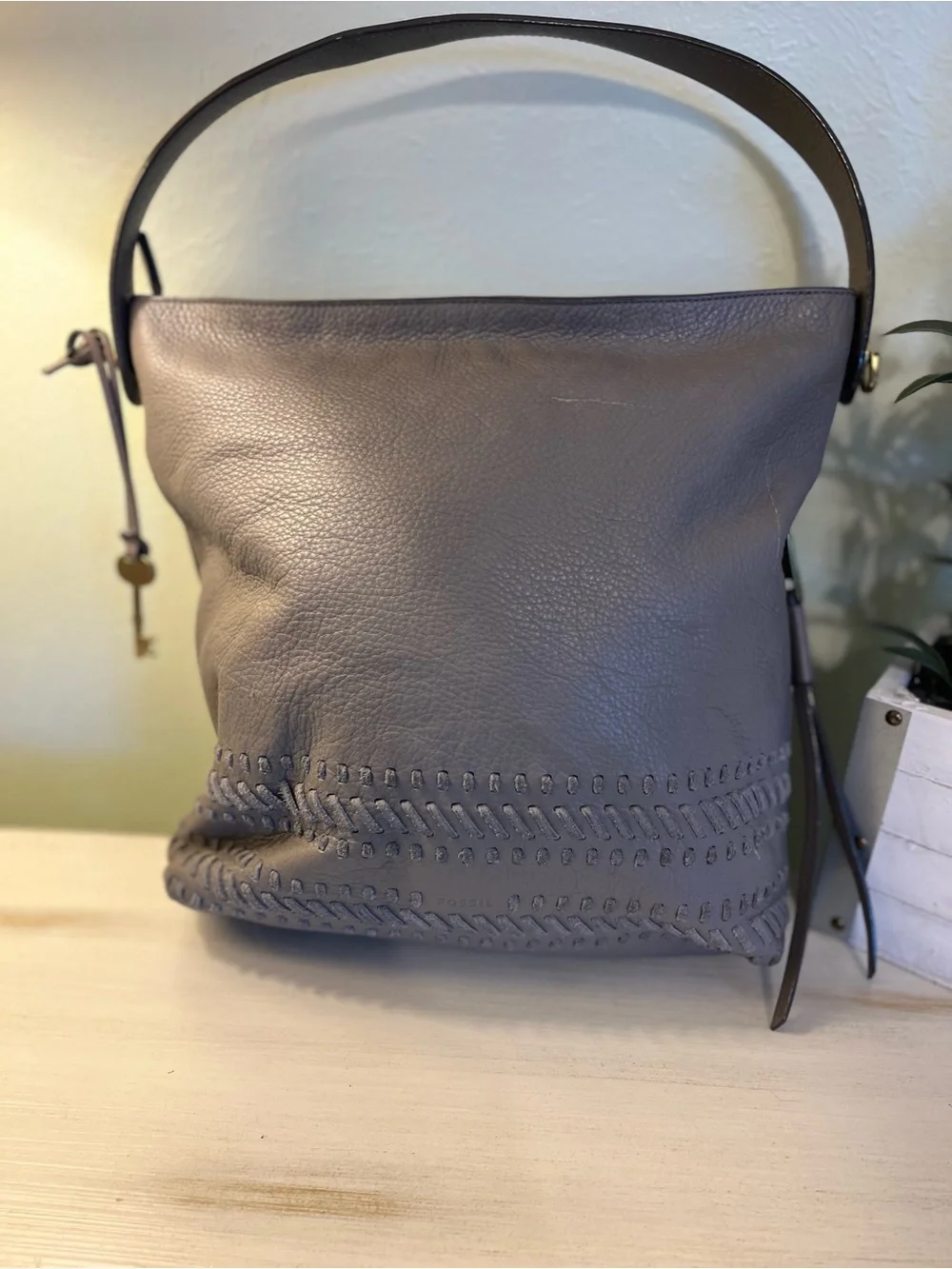 Fossil maya hobo