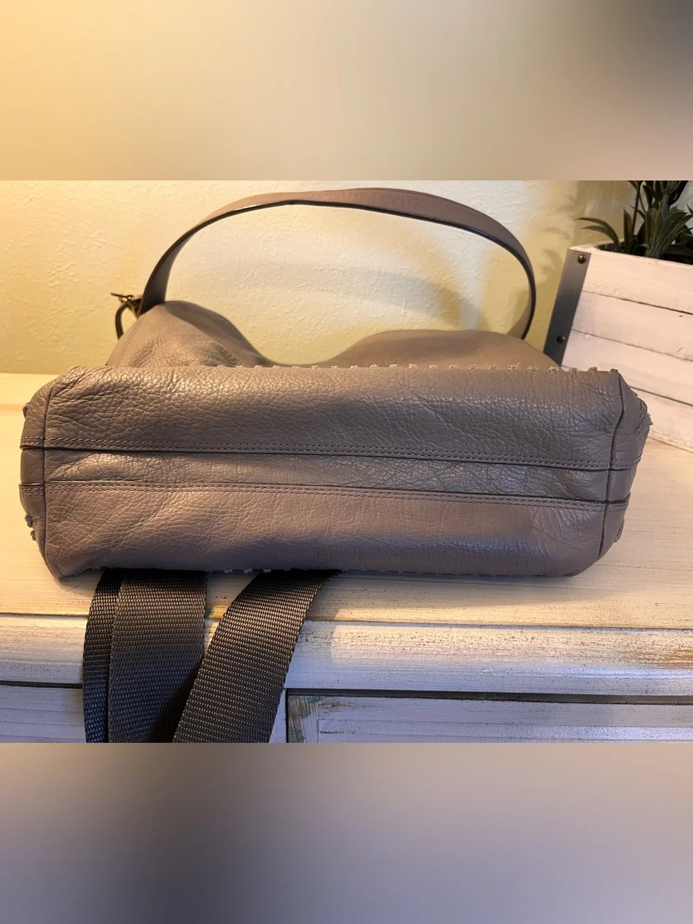 Fossil maya hobo