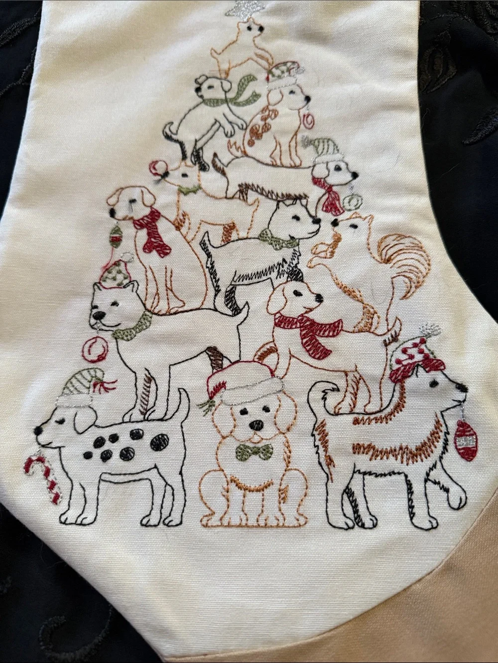 N/A charming dog