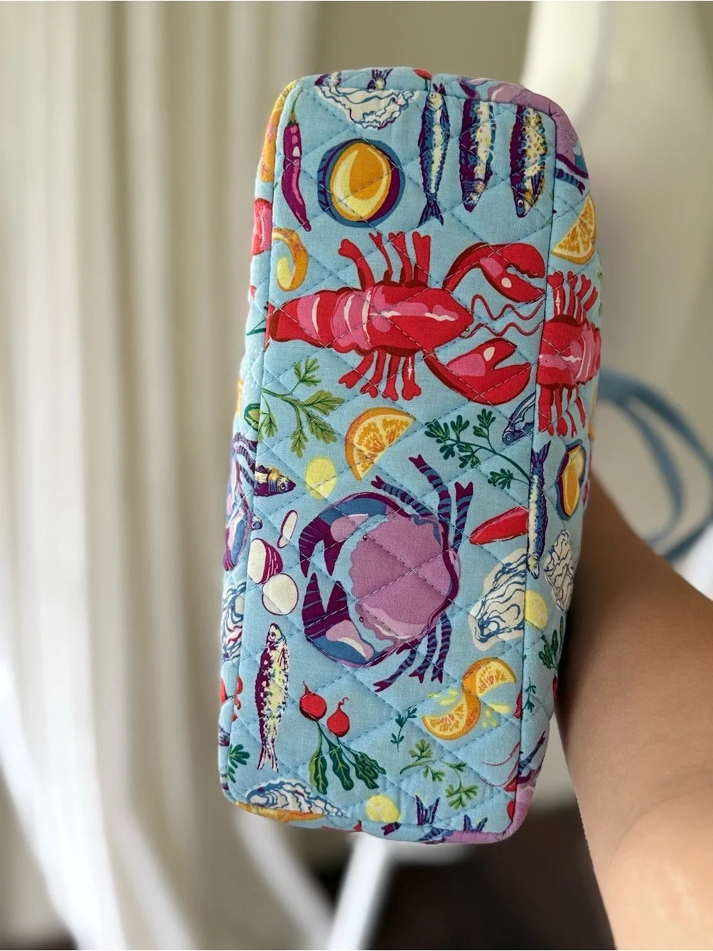 Vera Bradley review insulated