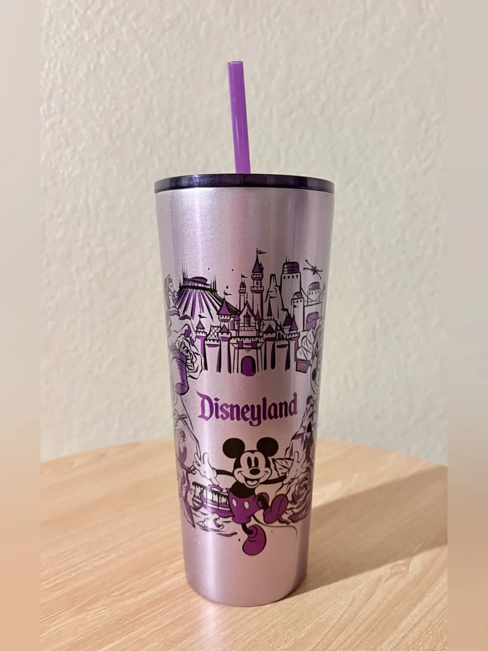 Starbucks Disneyland Purple Stainless Steel Tumbler Straw Icons Attractions NIB
