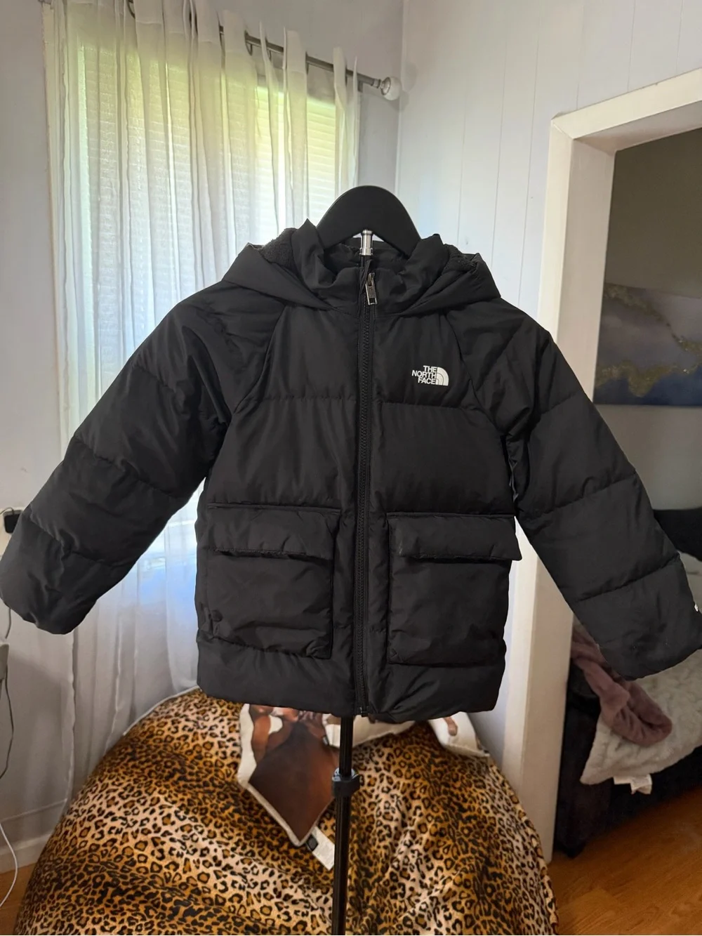 The North Face north face