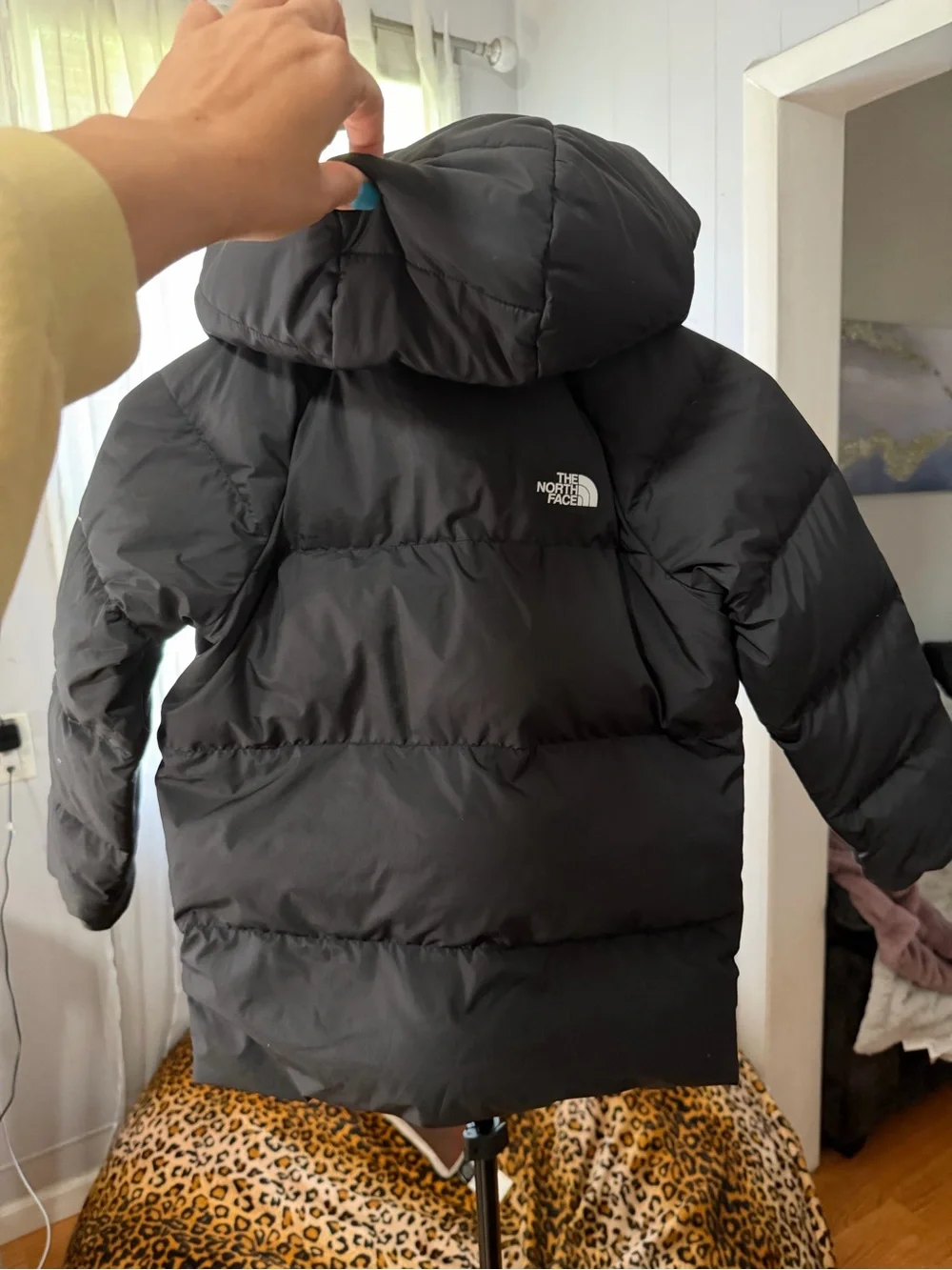 The North Face north face