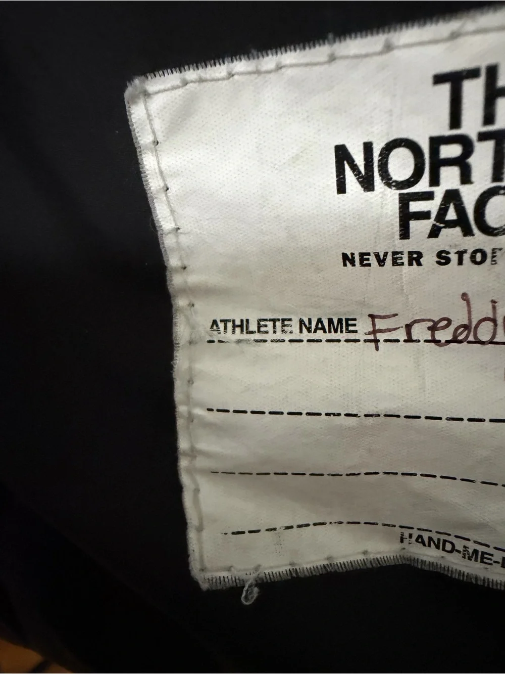 The North Face north face
