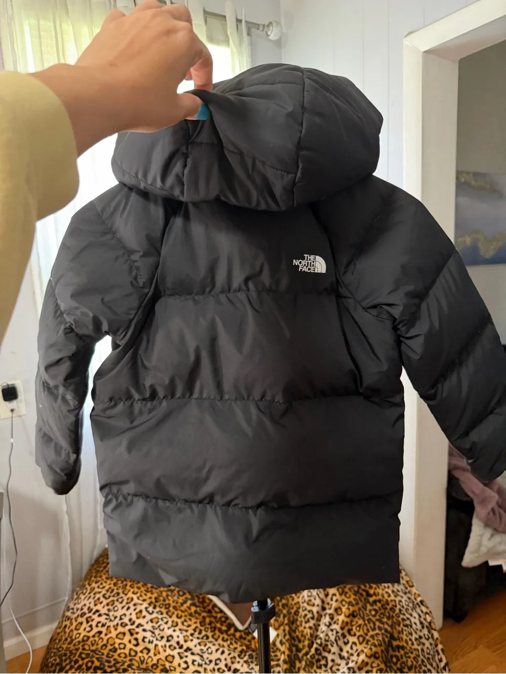 The North Face north face