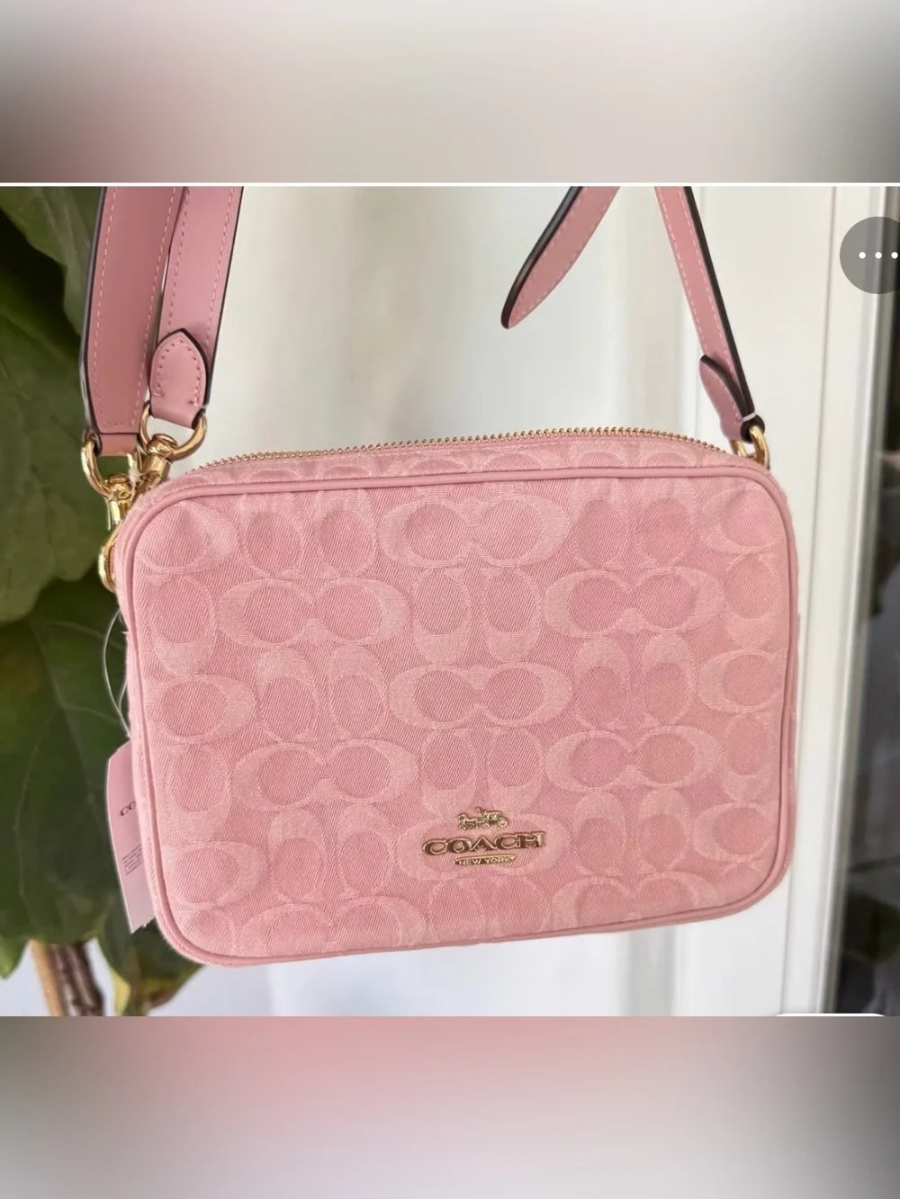 Coach logo elegant